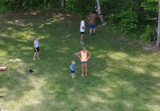 dji fly 20260510 151652 0 1778440612640 photo low quality